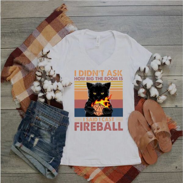 Cat I didn’t ask how big the room is I said I cast fireball hoodie, sweater, longsleeve, shirt v-neck, t-shirt