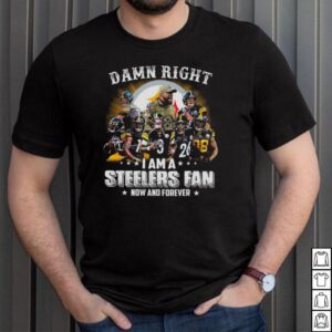 Pittsburgh Steelers Baseball Teams Damn Right I Am A Steelers Signature Fan Now And Forever shirt