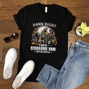 Pittsburgh Steelers Baseball Teams Damn Right I Am A Steelers Signature Fan Now And Forever shirt