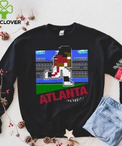 Funny Atlanta Falcons T Shirt Gift For Fan