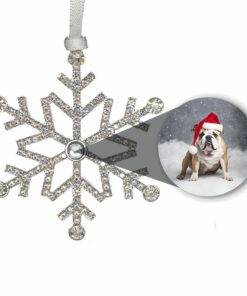 Personalized Snowflake Photo Ornament