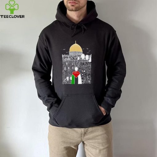 A boy wearing Free Palestine flag hoodie, sweater, longsleeve, shirt v-neck, t-shirt