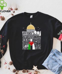 A boy wearing Free Palestine flag hoodie, sweater, longsleeve, shirt v-neck, t-shirt