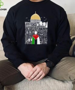 A boy wearing Free Palestine flag hoodie, sweater, longsleeve, shirt v-neck, t-shirt