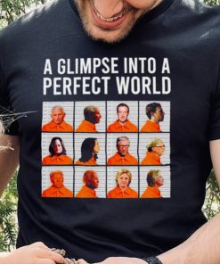 A glimpse into a perfect world shirt