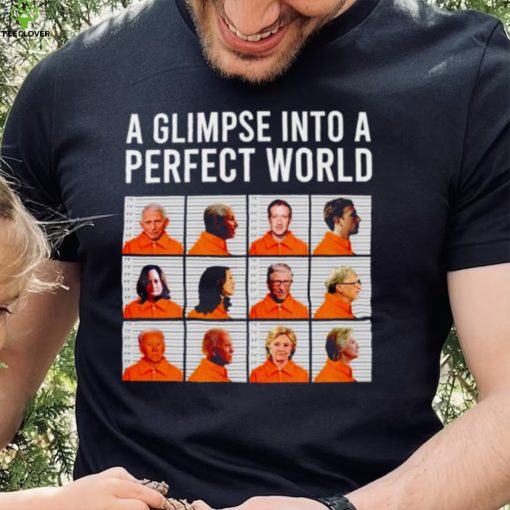 A glimpse into a perfect world hoodie, sweater, longsleeve, shirt v-neck, t-shirt