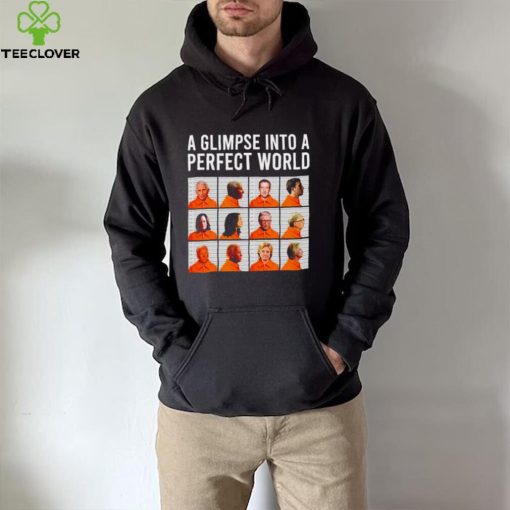 A glimpse into a perfect world hoodie, sweater, longsleeve, shirt v-neck, t-shirt