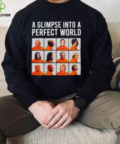 A glimpse into a perfect world hoodie, sweater, longsleeve, shirt v-neck, t-shirt