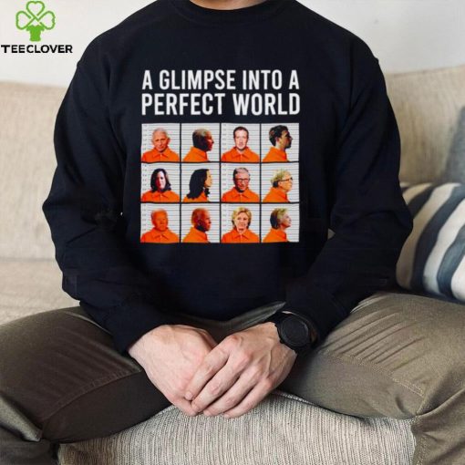 A glimpse into a perfect world hoodie, sweater, longsleeve, shirt v-neck, t-shirt