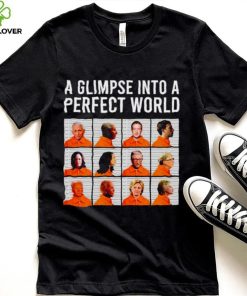 A glimpse into a perfect world hoodie, sweater, longsleeve, shirt v-neck, t-shirt