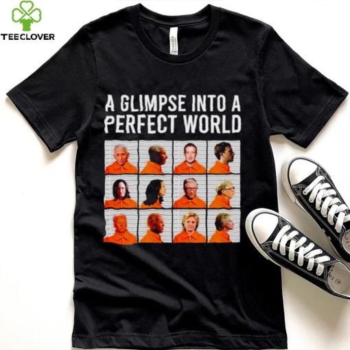 A glimpse into a perfect world hoodie, sweater, longsleeve, shirt v-neck, t-shirt