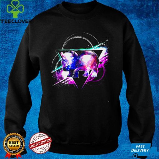 Aesthetic Galaxy Hippo Hippopotamus T hoodie, sweater, longsleeve, shirt v-neck, t-shirt