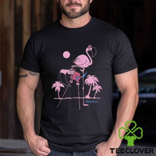 Aladdin Iago Flamingo hoodie, sweater, longsleeve, shirt v-neck, t-shirt