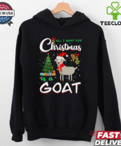 All I Want For Christmas Is A Goat shirt