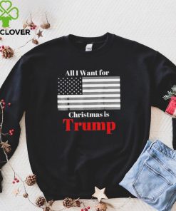 All I Want For Christmas Is Trump American Flag T Shirt