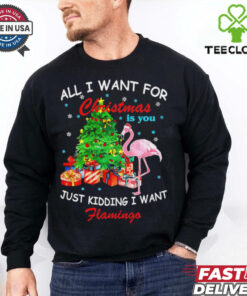 All I Want For Christmas Is You Just Kidding I Want Flamingo shirt