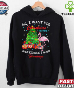 All I Want For Christmas Is You Just Kidding I Want Flamingo shirt