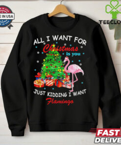 All I Want For Christmas Is You Just Kidding I Want Flamingo shirt