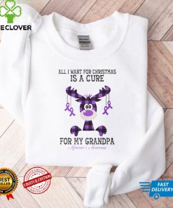 Alzheimer's Awareness All I Want For Christmas Is A Cure For My Grandpa T shirt