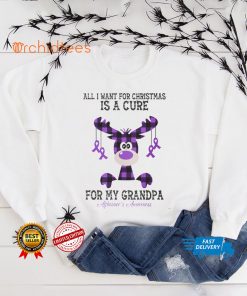 Alzheimer's Awareness All I Want For Christmas Is A Cure For My Grandpa T shirt