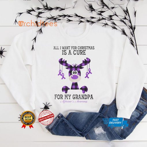 Alzheimer’s Awareness   All I Want For Christmas Is A Cure For My Grandpa T shirt