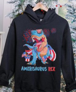 Amerisaurus Rex 4th Of July Dinosaur shirt