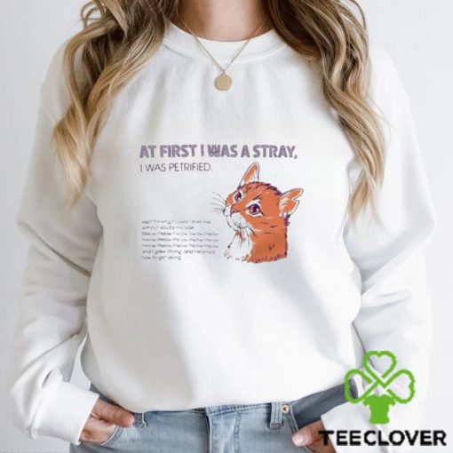 At First I Was A Stray Cat t hoodie, sweater, longsleeve, shirt v-neck, t-shirt