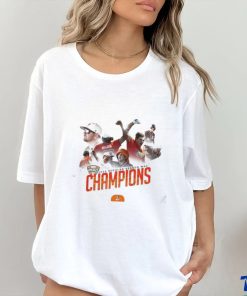 BGSU Falcon MAC Baseball Regular Season Champions 2024 hoodie, sweater, longsleeve, shirt v-neck, t-shirt