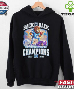 Back To Back NFC North Division Champions Detroit Lions 2023 2024 shirt