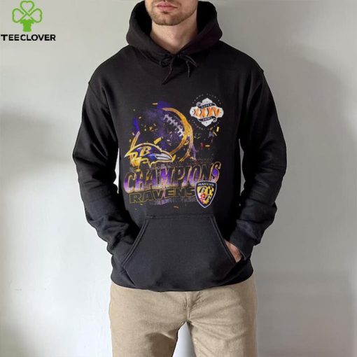 Baltimore Ravens super bowl champions Tampa Florida hoodie, sweater, longsleeve, shirt v-neck, t-shirt