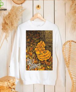 Billy strings nov 9 2022 blue cross arena rochester ny hoodie, sweater, longsleeve, shirt v-neck, t-shirt