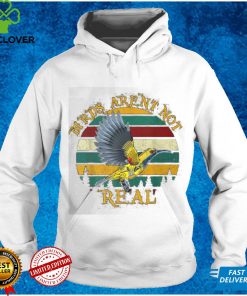 Bird Aren’t Real Retro Sunset T Shirt