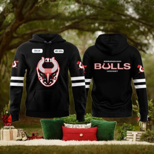 Birmingham Bulls Hockey 2025 Limited Edition For Fans Hoodie