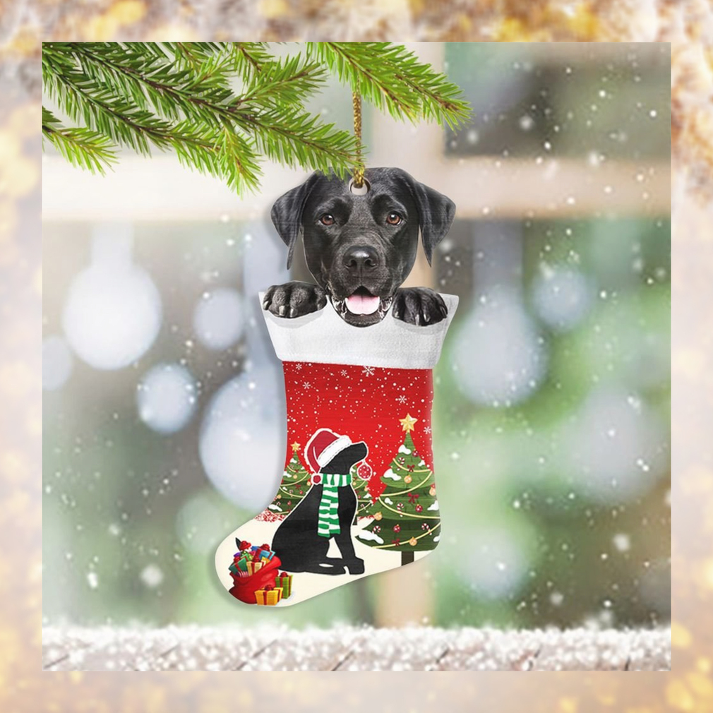 Black Labrador Retriever In Socks Christmas Ornament Dog Christmas Tree Topper Dog Lover Gifts