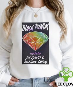Black Pumas Tour 2024 The Salt Shed Poster t shirt