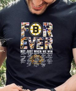 Boston Bruins 100 years of memories forever fan hockey hoodie, sweater, longsleeve, shirt v-neck, t-shirt