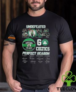 Boston Celtics 2024 Perfect Season Go Celtics T Shirt