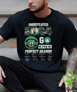 Boston Celtics 2024 Perfect Season Go Celtics T Shirt