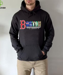 Boston city Boston Red Sox New England Patriots Boston Celtics Boston Bruins all sports logo shirt