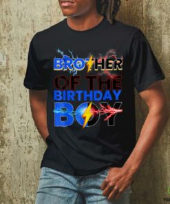 Brother Of The Birthday Boy Hedgehog Family Party T Shirt