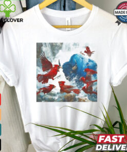 Buffalo Bills against Bird gang Arizona Cardinals graphic shirt