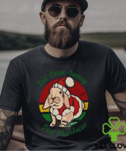 Bunny Santa Did Some Bunny Say Christmas shirt