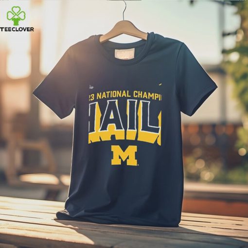 CFP 2023 National Champions Michigan Wolverines Hail hoodie, sweater, longsleeve, shirt v-neck, t-shirt