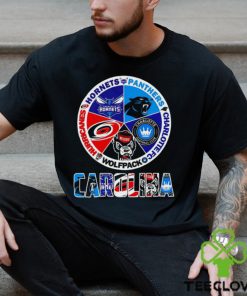 Carolina Hornets Carolina Panthers Carolina Hurricanes South Carolina Gamecocks Carolina Charlotte FC logo Carolina city hoodie, sweater, longsleeve, shirt v-neck, t-shirt