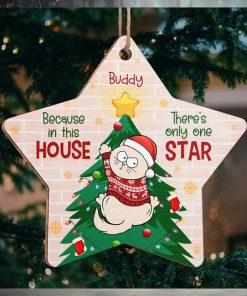 Cat Is Only One Star In This House   Cat Personalized Custom Ornament   Wood Custom Shaped   Christmas Gift For Pet Owners, Pet Lovers