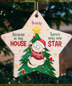 Cat Is Only One Star In This House   Cat Personalized Custom Ornament   Wood Custom Shaped   Christmas Gift For Pet Owners, Pet Lovers