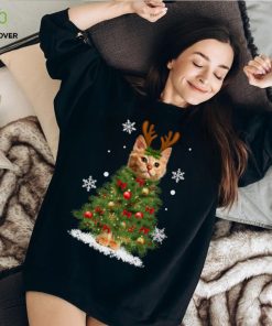 Cat Lover Merry fluffmas Hooded Sweatshirt