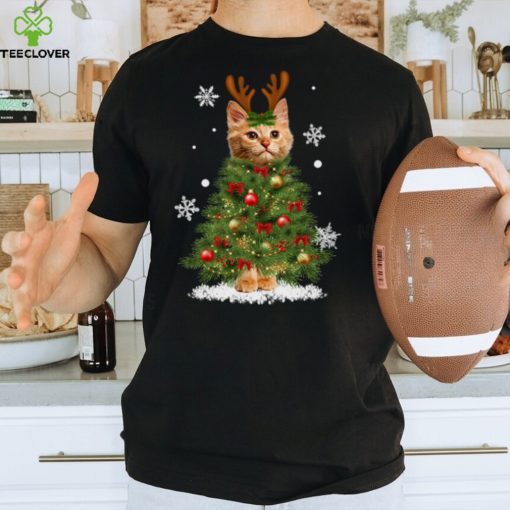 Cat Lover   Merry fluffmas Hooded Sweatshirt