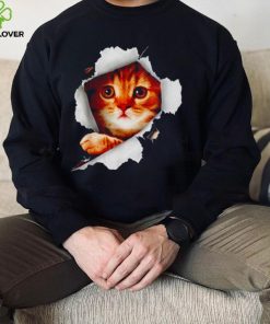 Cat Torn Cloth hoodie, sweater, longsleeve, shirt v-neck, t-shirt