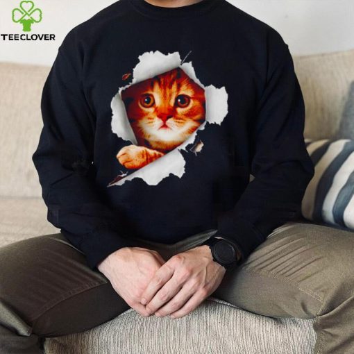 Cat Torn Cloth hoodie, sweater, longsleeve, shirt v-neck, t-shirt